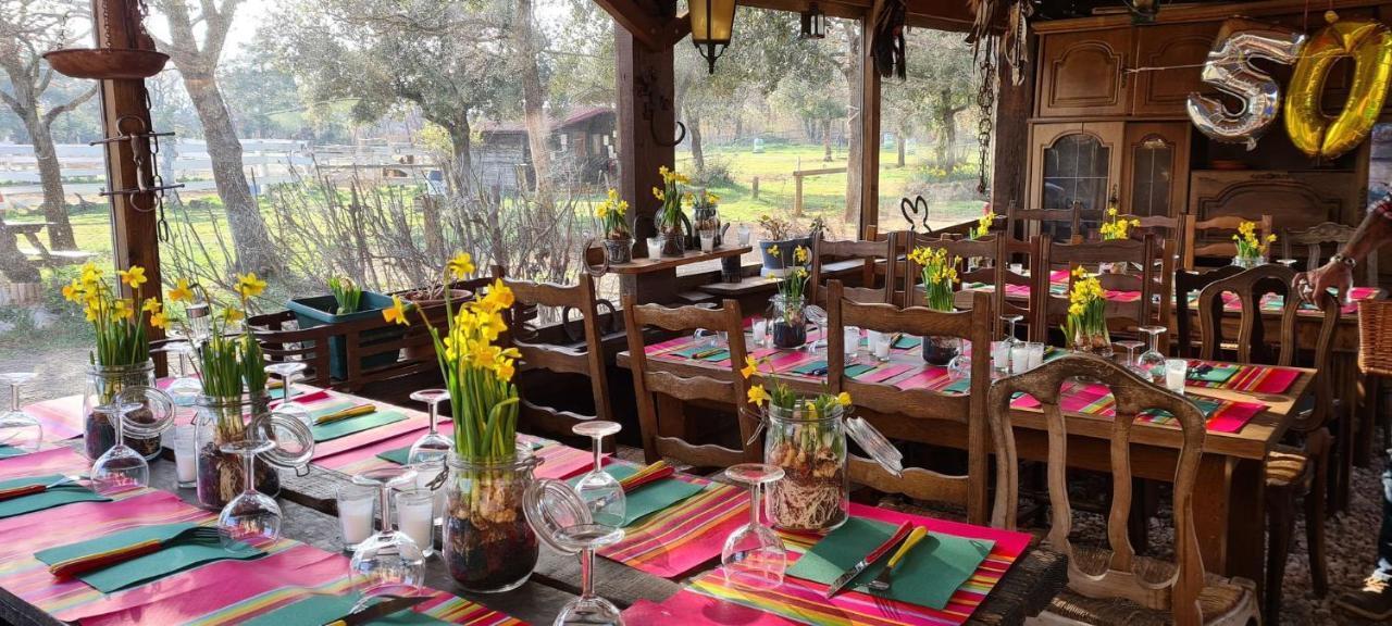 מלון Moissac-Bellevue Ranch Du Puits De Riquier מראה חיצוני תמונה